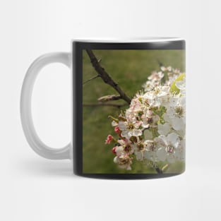 White Tree Flowers 5 Mug